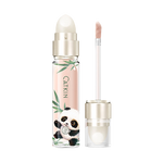 C01 Shell