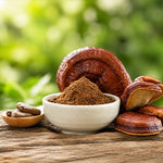 Reishi Mushroom Extract